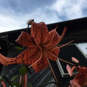 Meet your Posher, Gabby